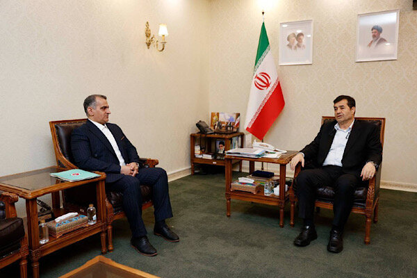تأکید وزیر ورزش و جوانان بر ساماندهی سبکهای رزمی کشور