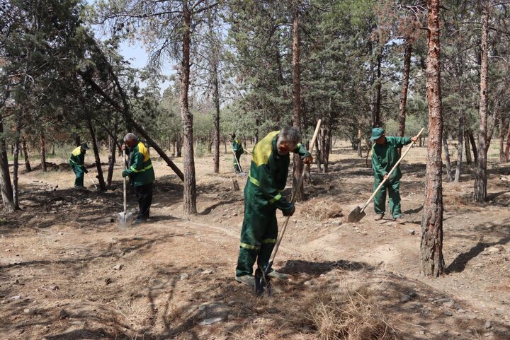 اجرای طرح آبیاری کمکی و بازپیرایی در بوستان جنگلی خرگوشدره
