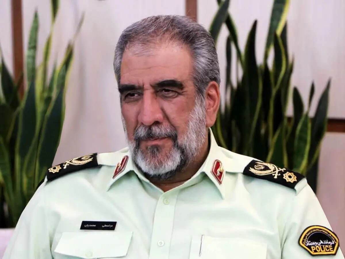 دست‌گیری ۲۵۵ سارق در قالب ۵۶ باند