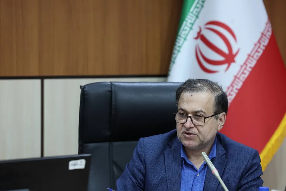 کشف ۳ هزار تن کالای غذایی متخلف و صدور بیش از ۱۰۰ هزار گواهی صادراتی در سه سال