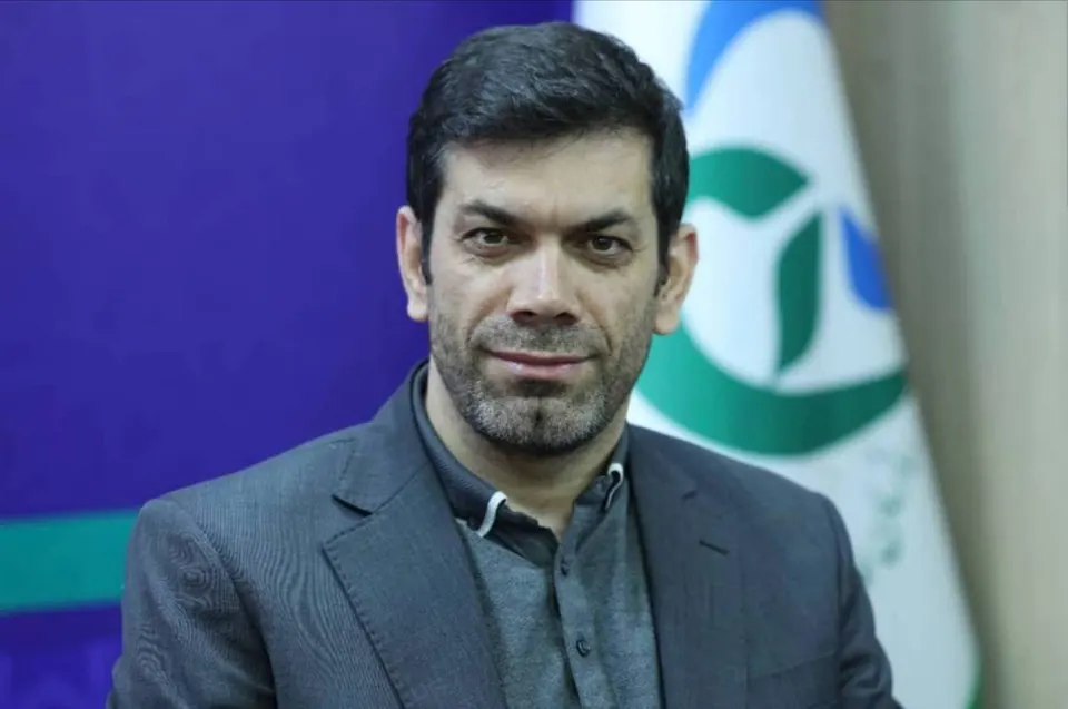 سعید مهرزادی در فهرست پژوهشگران یک درصد برتر جهان